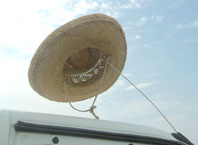 �����X�q